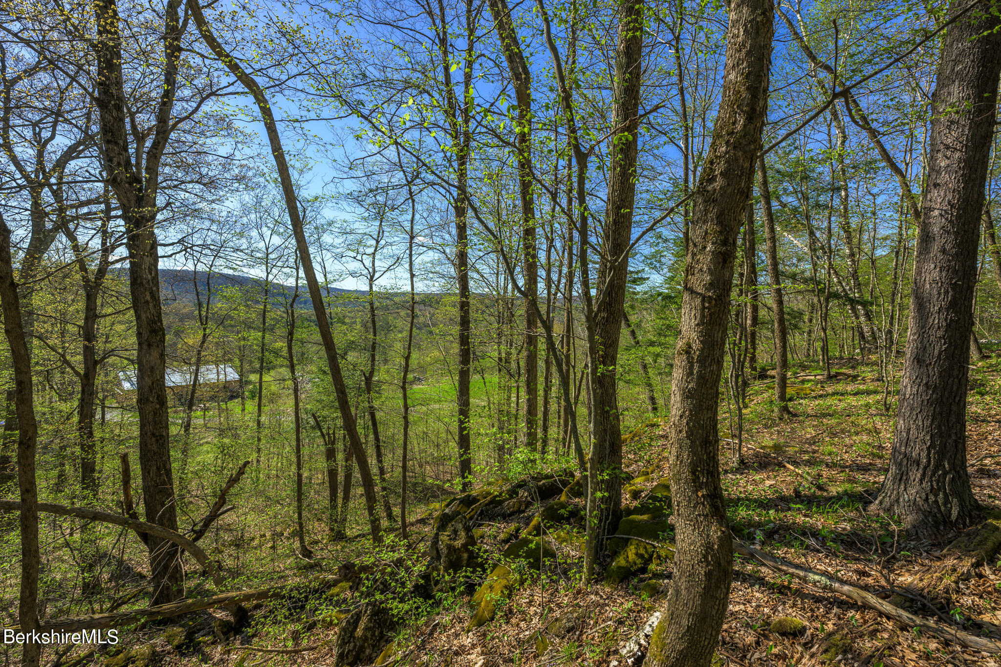 274 E Road Alford, MA 01266 - Photo 25 of 36 view from eastern elevation
