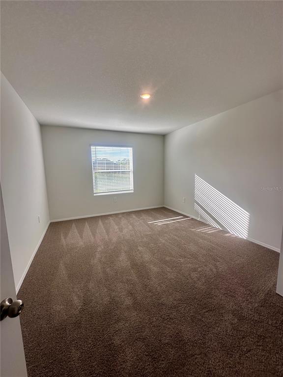 4425 Boxelder Avenue Parrish, FL 34219 - Photo 7 of 9