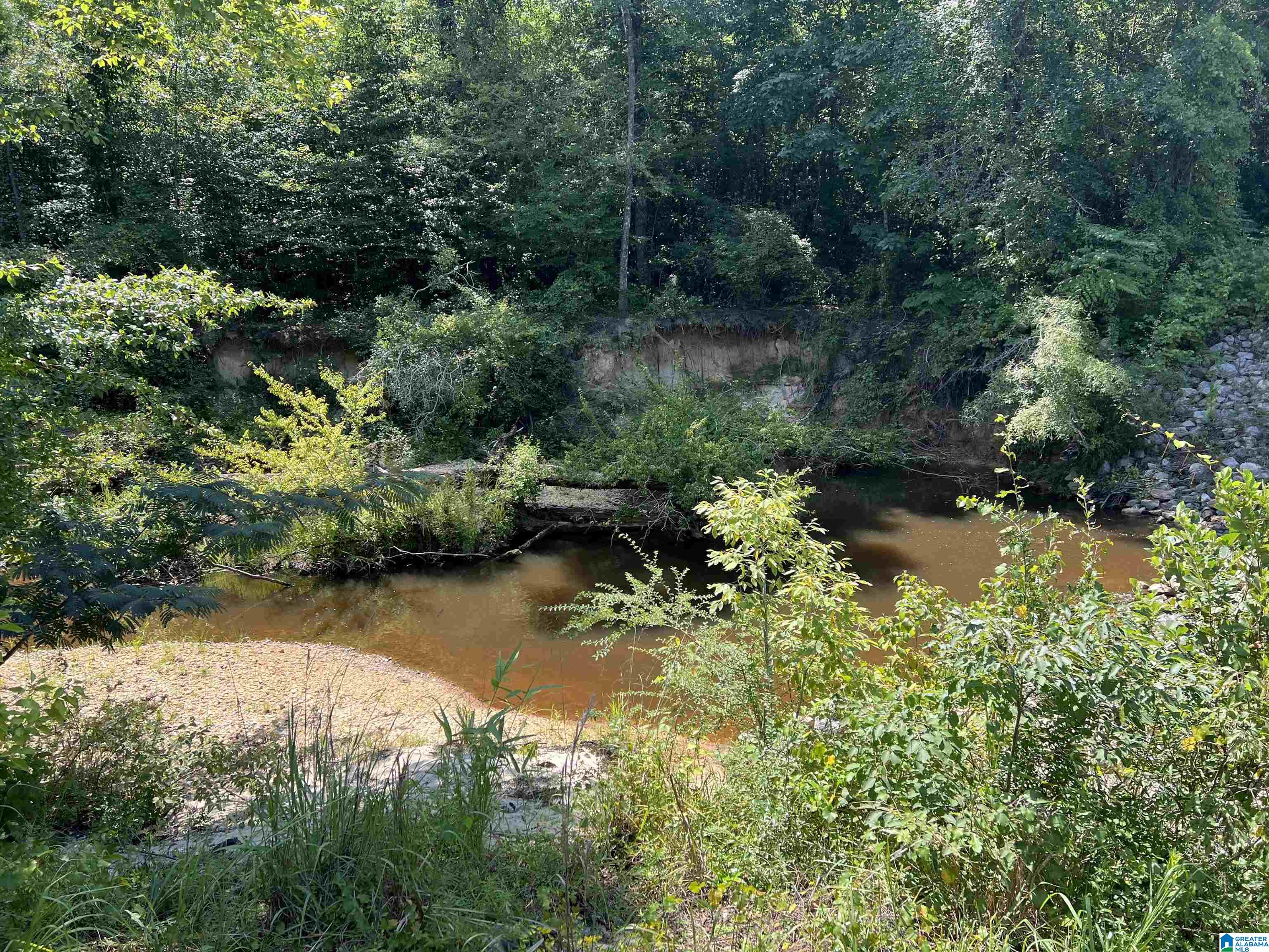 4440 Highway 22 Stanton, AL 36790 - Photo 4 of 7