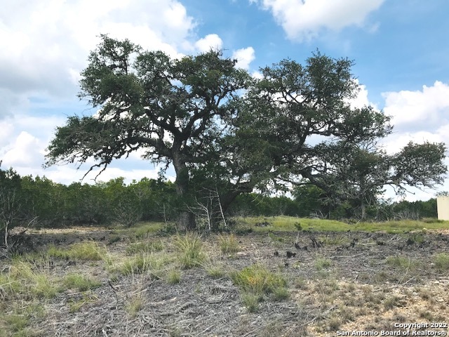 Parcel 4 Rio Lantana Pipe Creek, TX 78063 - Photo 2 of 11