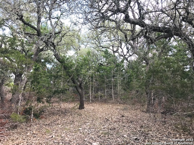 Parcel 4 Rio Lantana Pipe Creek, TX 78063 - Photo 3 of 11