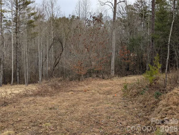 a view of backyard with trees