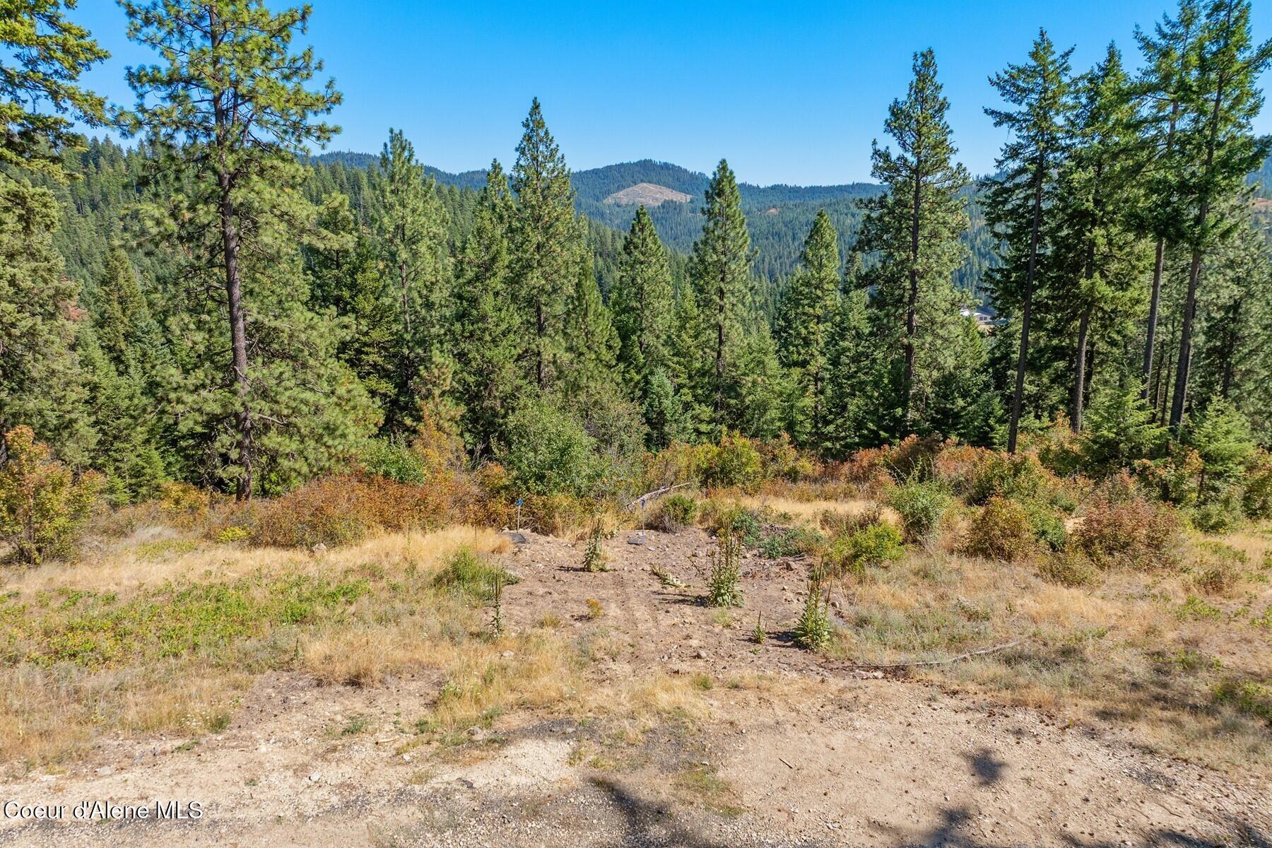 Nna Nna Hanson Road Harrison, ID 83833 - Photo 2 of 14 Aerial_HansonRdLot1