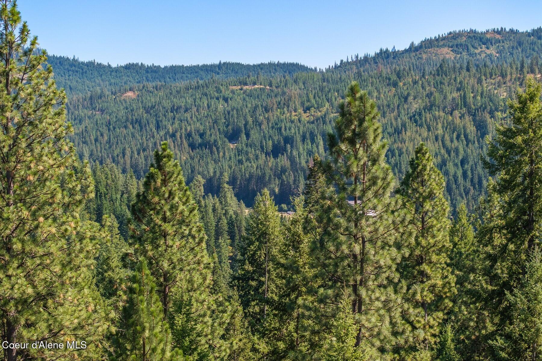Nna Nna Hanson Road Harrison, ID 83833 - Photo 4 of 14 Aerial_HansonRdLot3