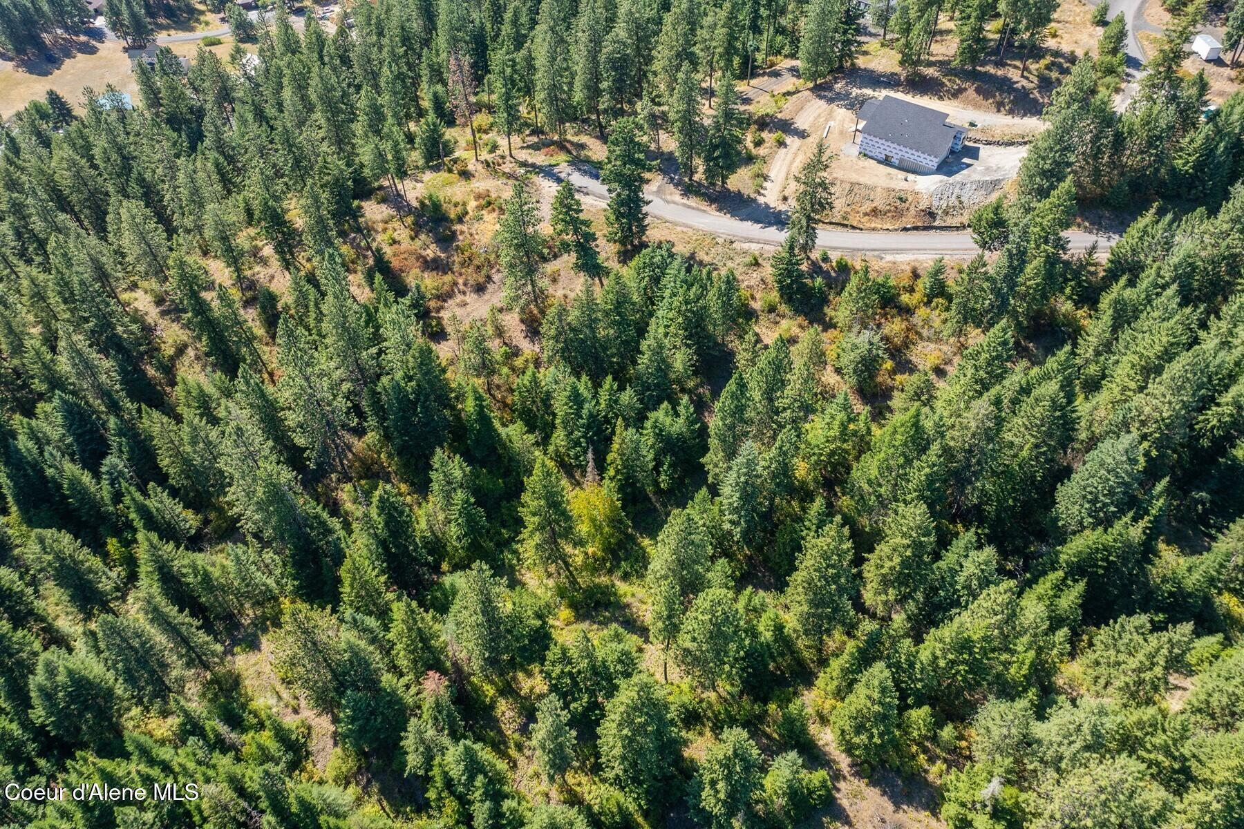 Nna Nna Hanson Road Harrison, ID 83833 - Photo 7 of 14 Aerial_HansonRdLot7