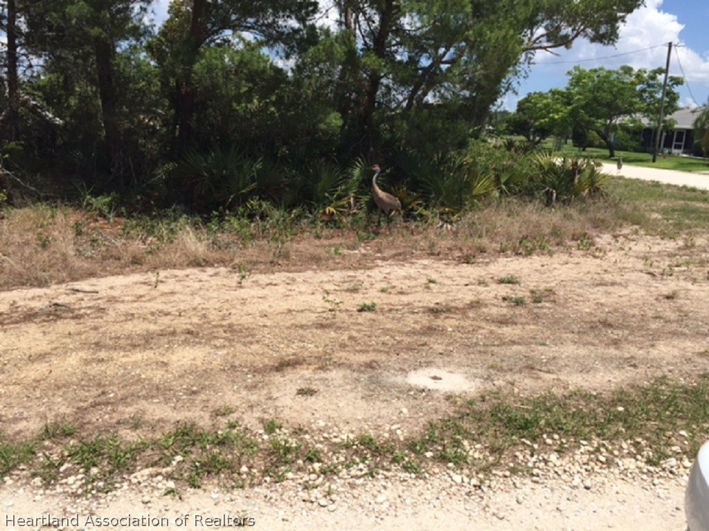 2418 Mason Road Avon Park, FL 33825 - Photo 2 of 4 Gallery Image 2