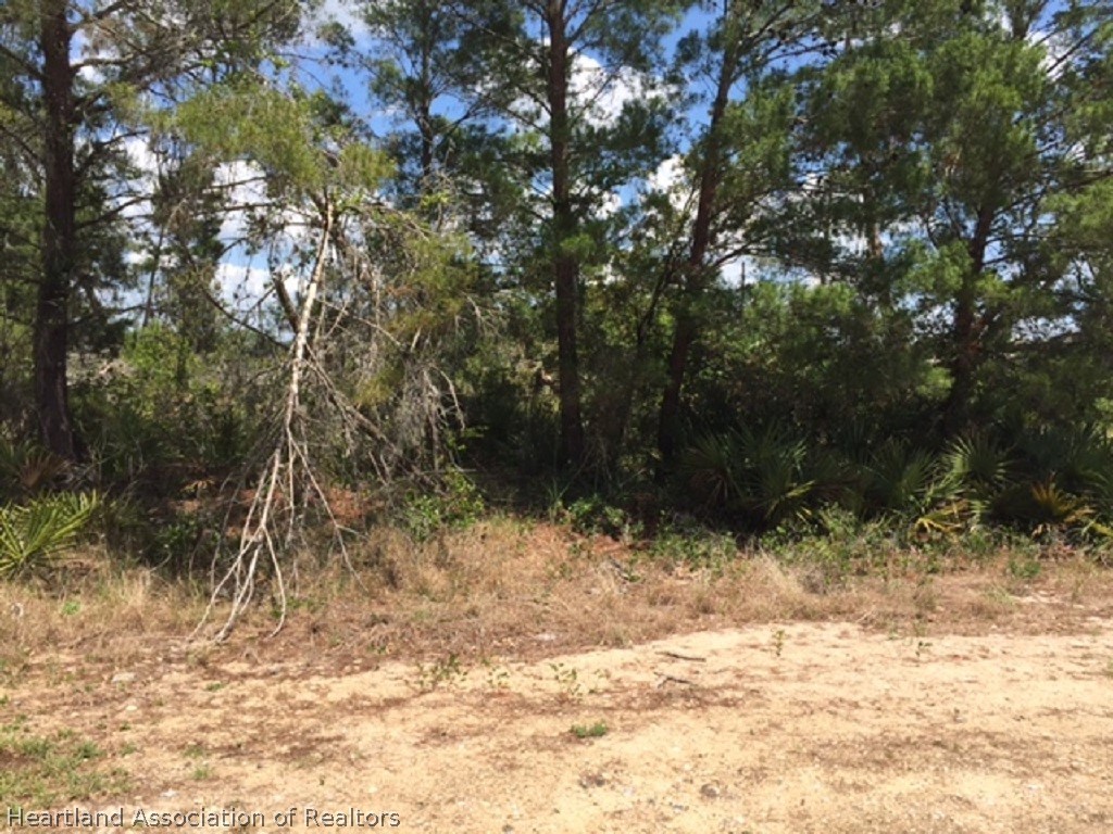 2418 Mason Road Avon Park, FL 33825 - Photo 3 of 4 Gallery Image 3
