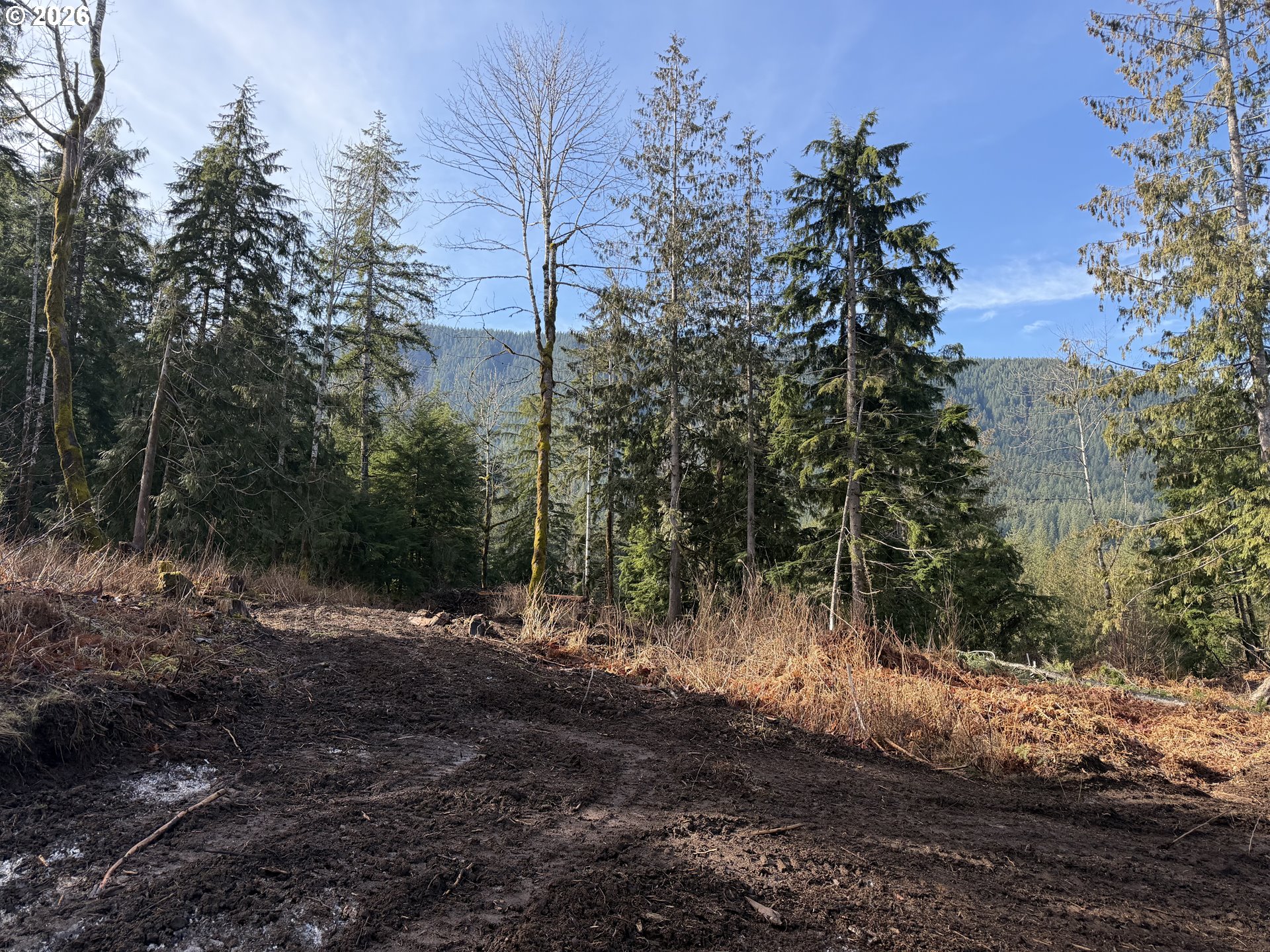 0 East Belle Lake Road, Unit 2 Rhododendron, OR 97049 - Photo 3 of 22