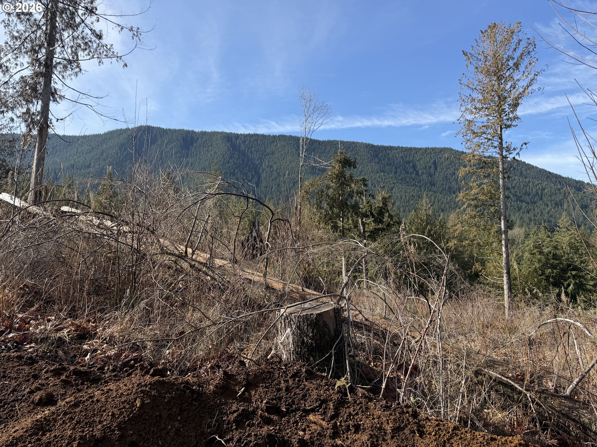 0 East Belle Lake Road, Unit 2 Rhododendron, OR 97049 - Photo 5 of 22