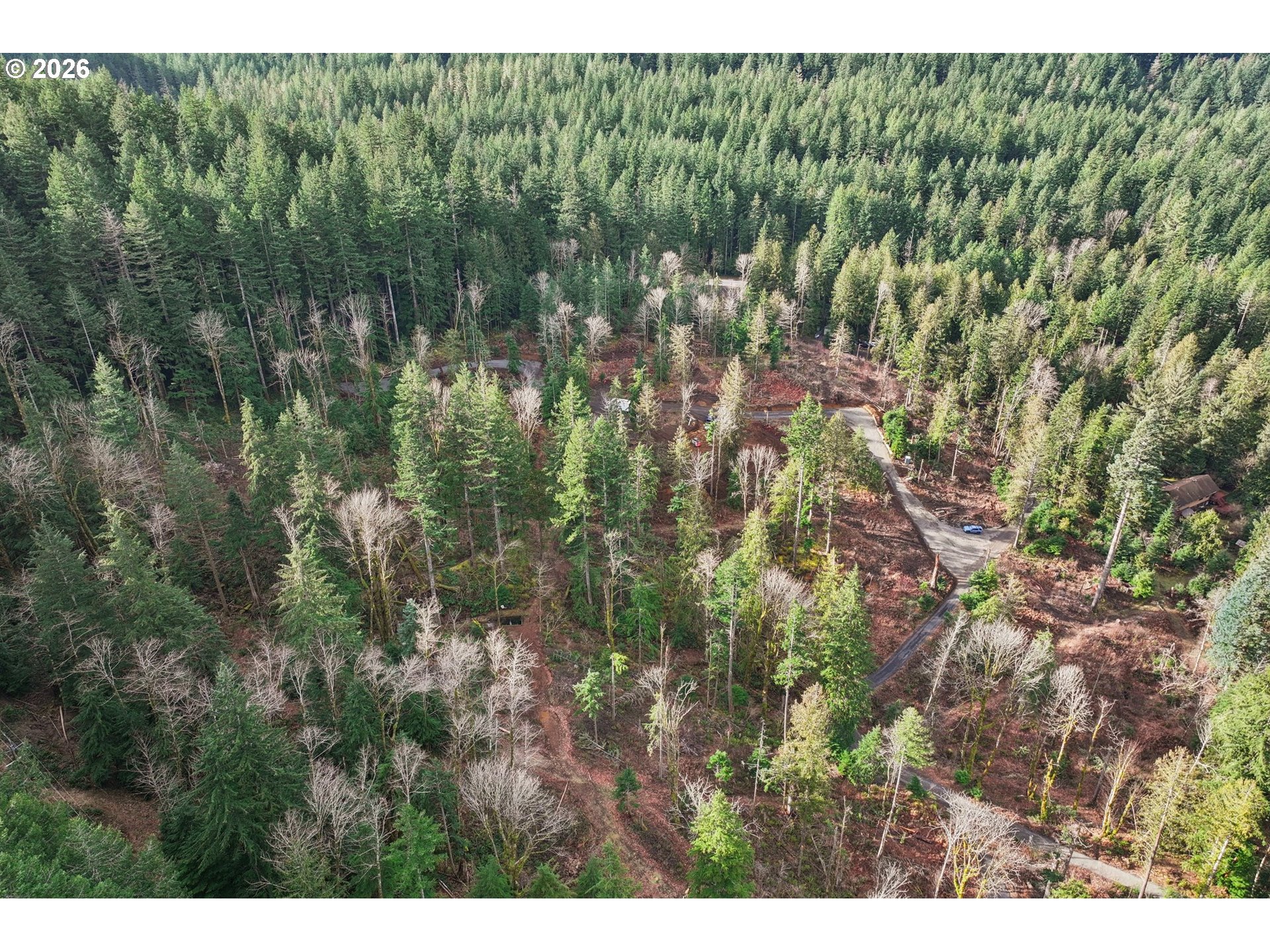 0 East Belle Lake Road, Unit 2 Rhododendron, OR 97049 - Photo 9 of 22