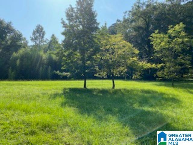 2420 Old Rocky Ridge Road, Unit 10 Birmingham, AL 35216 - Photo 4 of 6