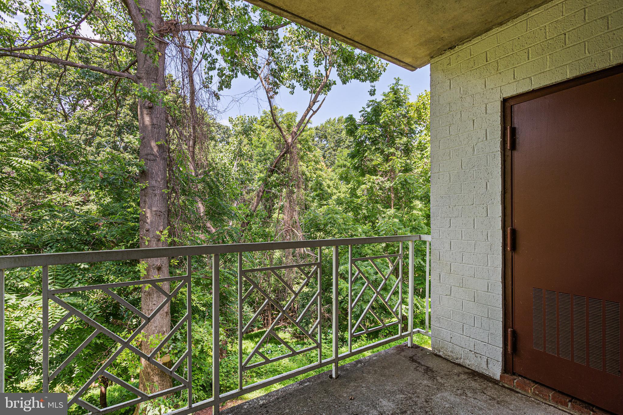 106 Castletown Road, Unit 202 Lutherville-Timonium, MD 21093 - Photo 7 of 13 Balcony overlooks woods