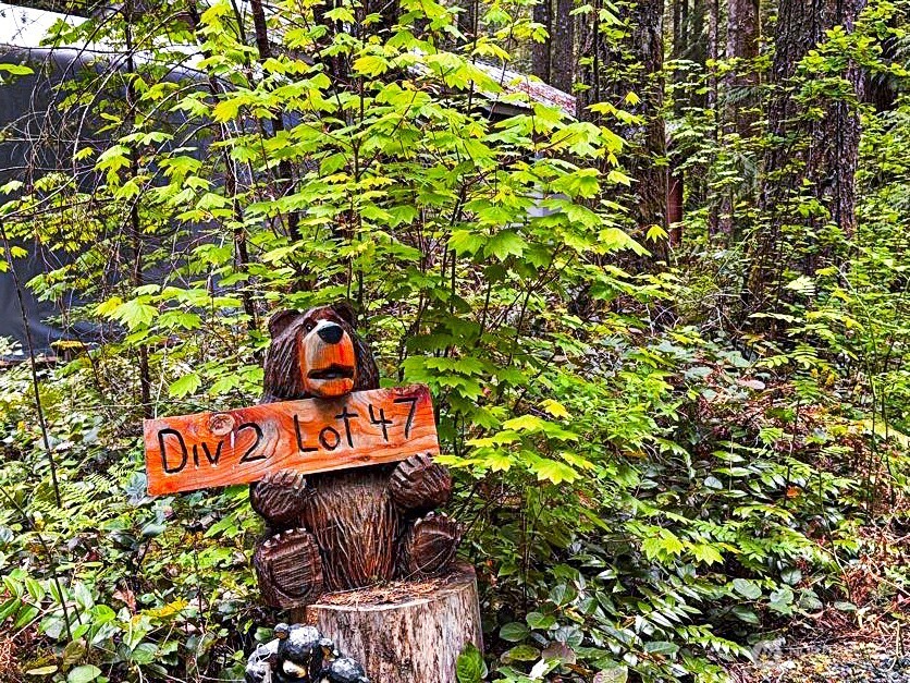 47 Wilderness Way Maple Falls, WA 98266 - Photo 28 of 40 a view of outdoor space with signage and flags
