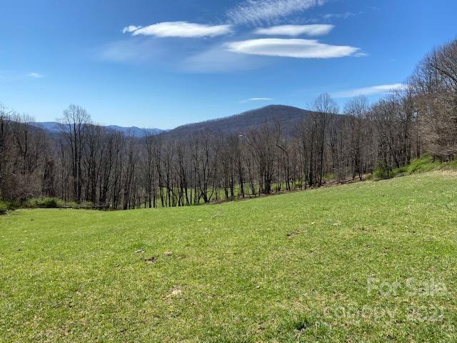 a view of a backyard with mountain
