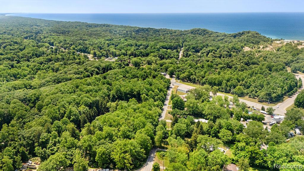 5831 Browntown Road Sawyer, MI 49125 - Photo 38 of 41