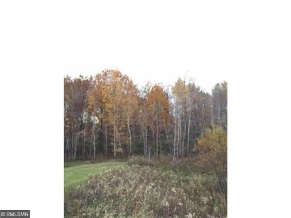 Xxx Everready Road Pine City, MN 55063 - Photo 1 of 1 Gallery Image 1