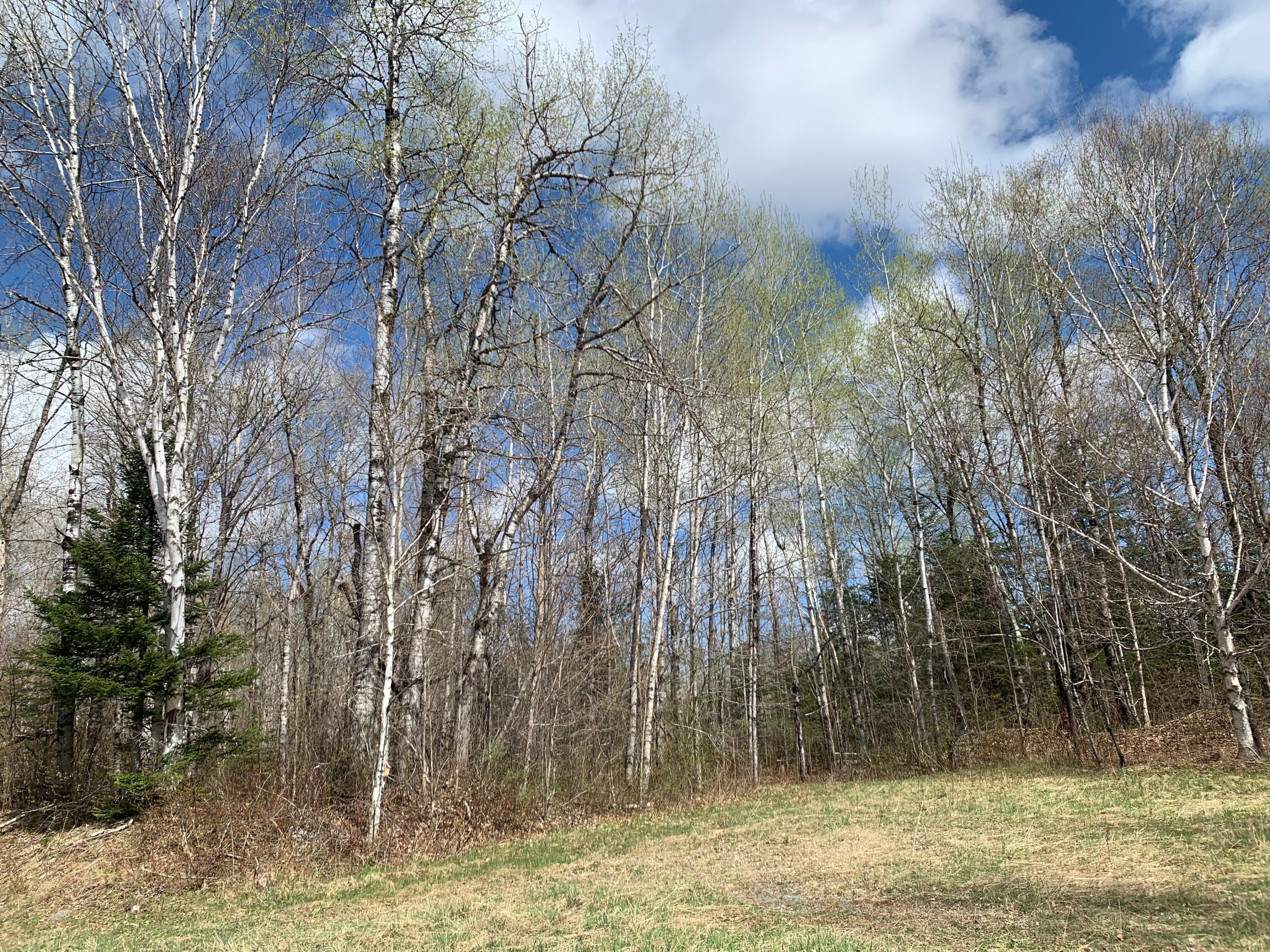 Lot L Cow Team Road Crystal, ME 04747 - Photo 10 of 11 10
