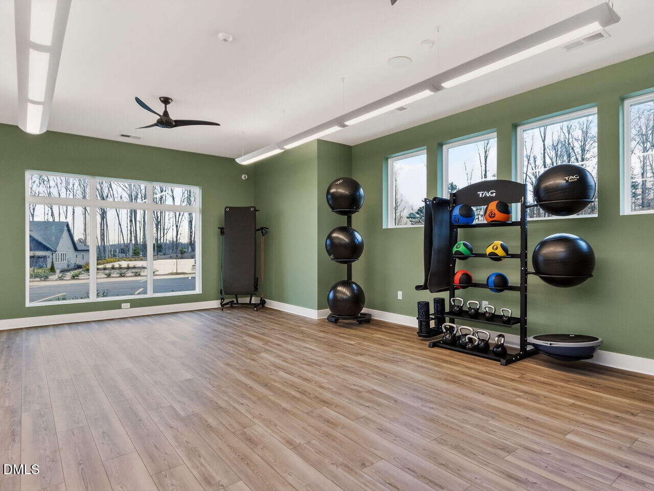 62 Raspberry Run Pittsboro, NC 27312 - Photo 42 of 55 a view of a room with gym equipment