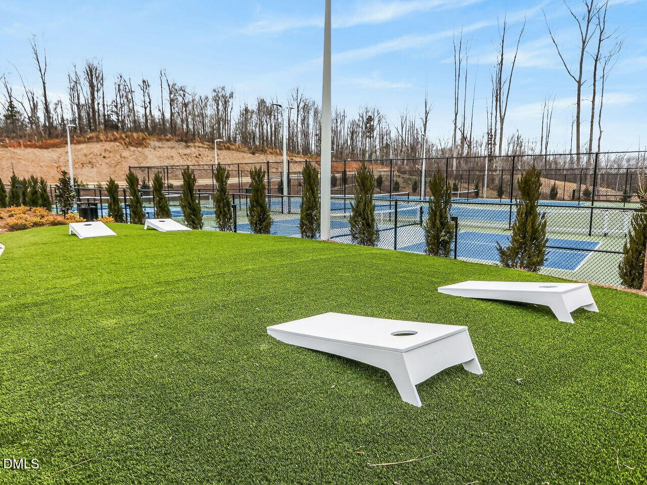 62 Raspberry Run Pittsboro, NC 27312 - Photo 50 of 55 a view of a garden with houses