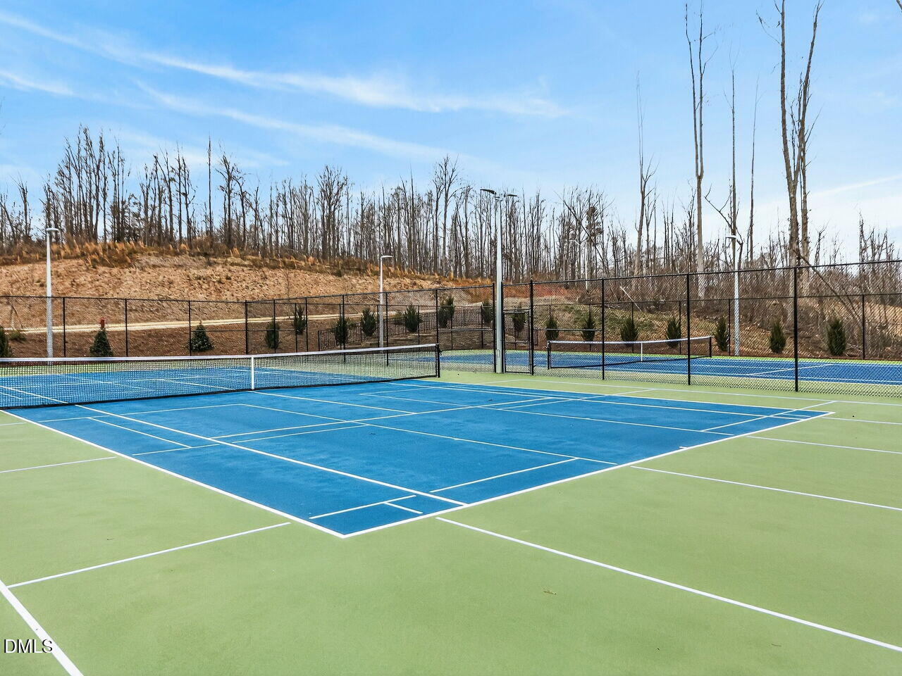 62 Raspberry Run Pittsboro, NC 27312 - Photo 55 of 55 a view of a tennis court