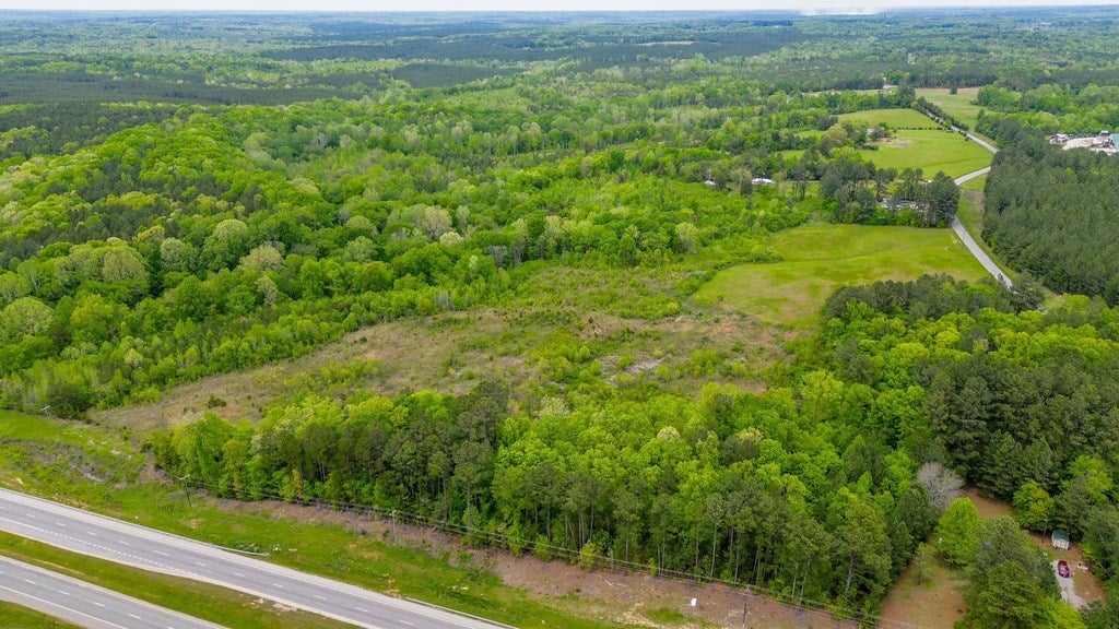 539 Landfill Road Baskerville, VA 23915 - Photo 10 of 38 Hwy 58 Frontage