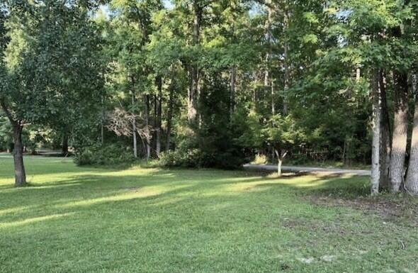 121 State Rd S-6-636 Barnwell, SC 29812 - Photo 22 of 24