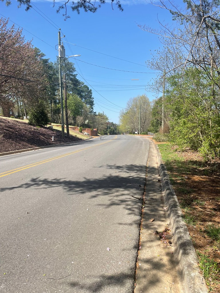 0 Castle Road Dalton, GA 30720 - Photo 2 of 3