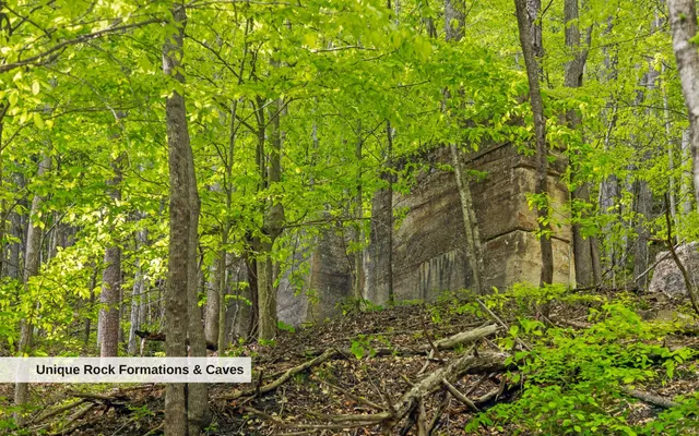 $550,000 | 7335 South Pittsburg Mountain Road, South Pittsburg, TN 37380