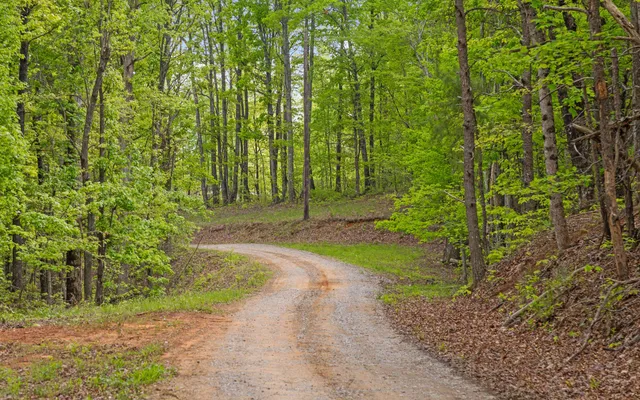 $550,000 | 7335 South Pittsburg Mountain Road, South Pittsburg, TN 37380