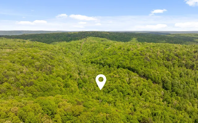 $550,000 | 7335 South Pittsburg Mountain Road, South Pittsburg, TN 37380