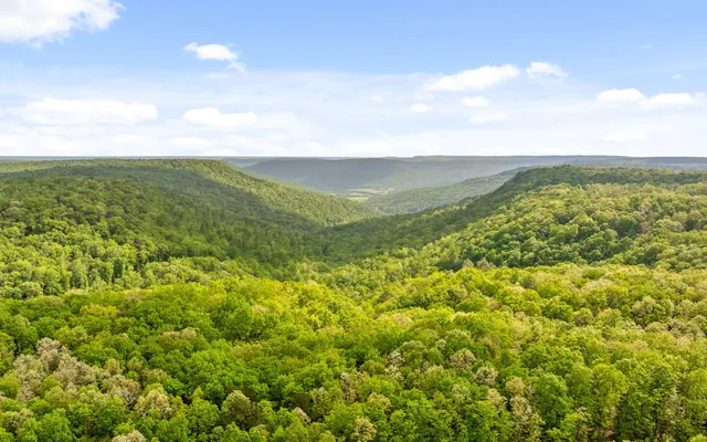 $550,000 | 7335 South Pittsburg Mountain Road, South Pittsburg, TN 37380