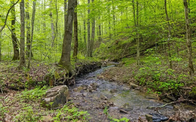 $550,000 | 7335 South Pittsburg Mountain Road, South Pittsburg, TN 37380