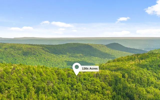 $550,000 | 7335 South Pittsburg Mountain Road, South Pittsburg, TN 37380