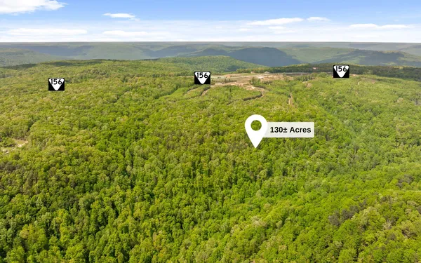 $495,000 | 7335 South Pittsburg Mountain Road, South Pittsburg, TN 37380
