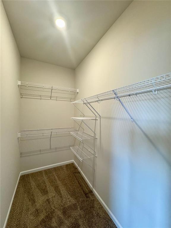 883 Dortch Road Eastanollee, GA 30538 - Photo 15 of 29 a bathroom with a shower