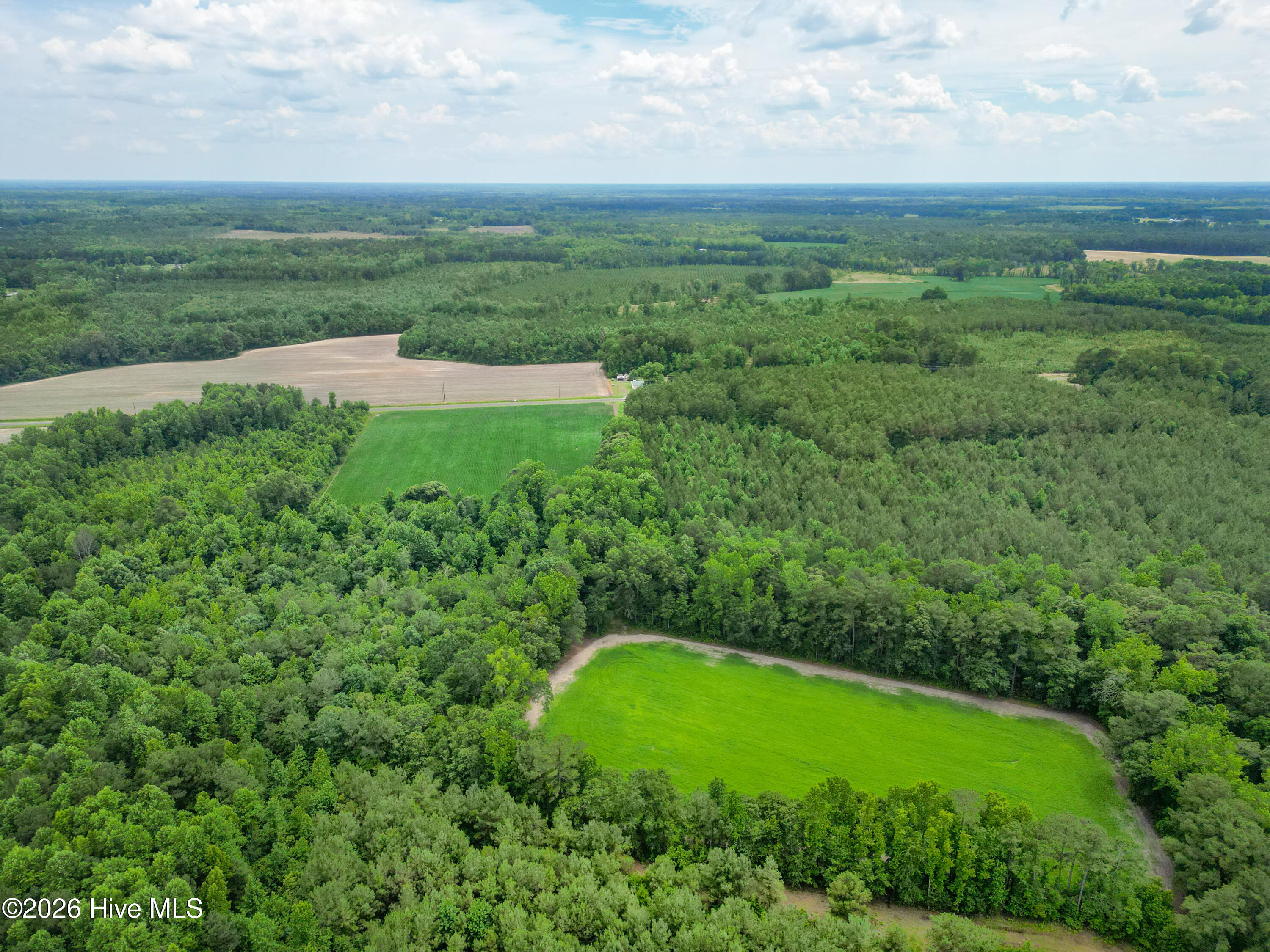 Tbd Farmers Union Road Clarkton, NC 28433 - Photo 12 of 13