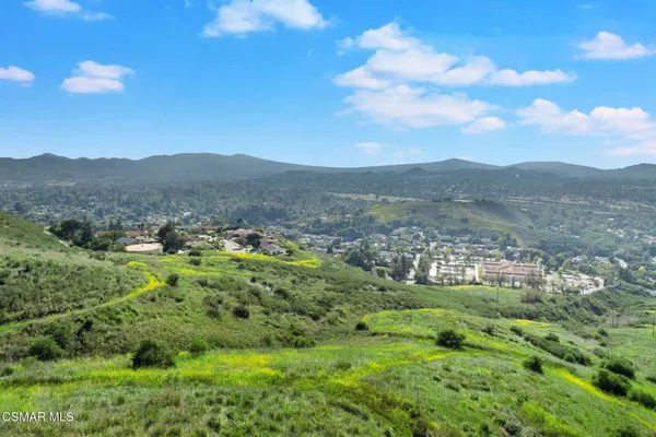 a view of a lush green hillside and houses