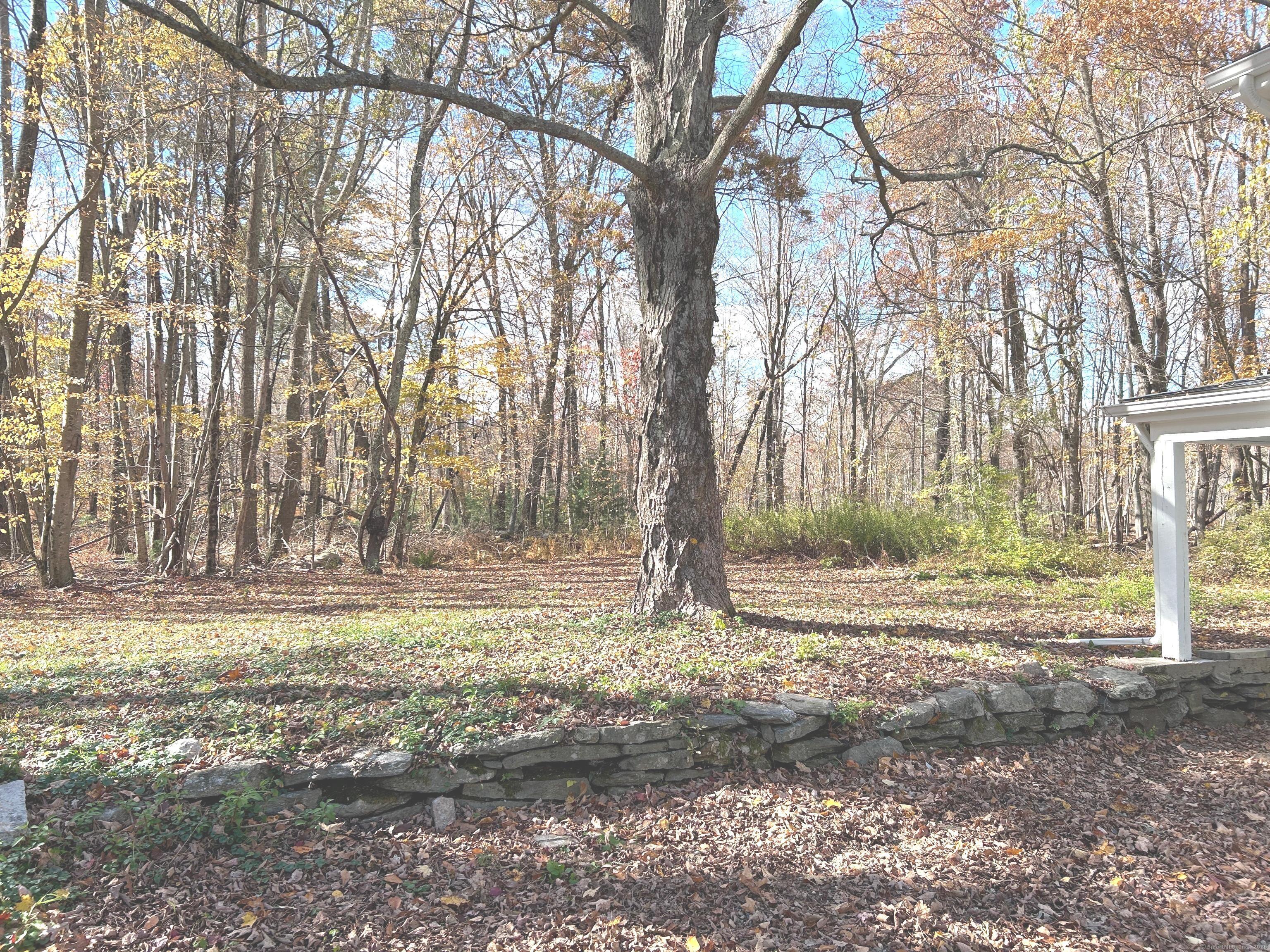 56 Macht Road Columbia, CT 06237 - Photo 17 of 22 Peaceful wooded acres