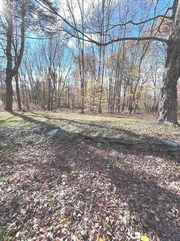 a view of a yard with large trees