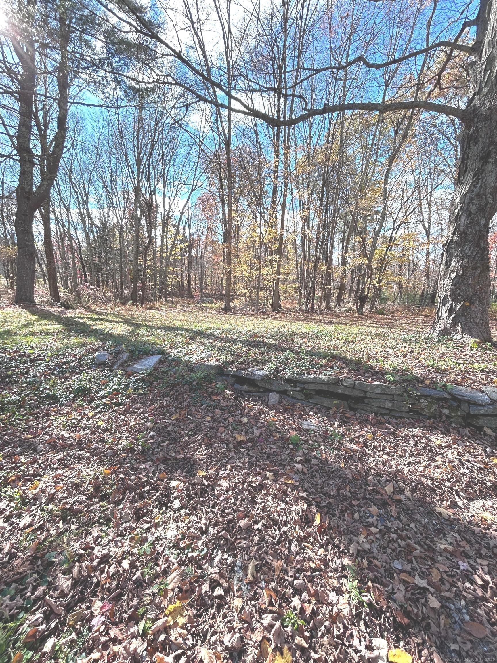 56 Macht Road Columbia, CT 06237 - Photo 18 of 22