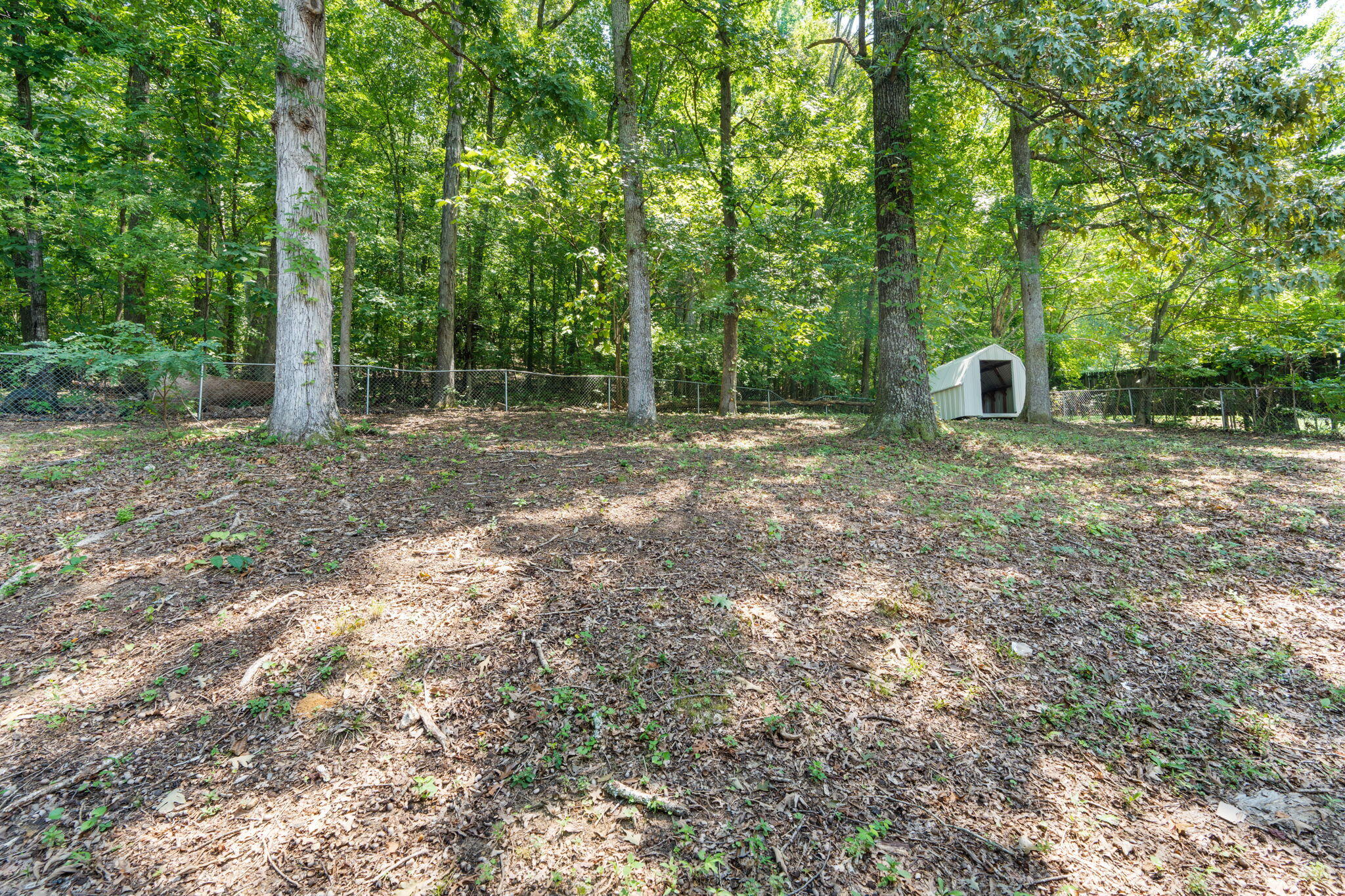 9104 Harrison Bay Road Harrison, TN 37341 - Photo 40 of 44 33-web-or-mls-9104 Harriso Bay Rd-Josh B