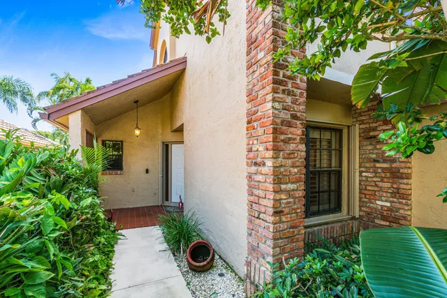 a view of a park with plants and trees