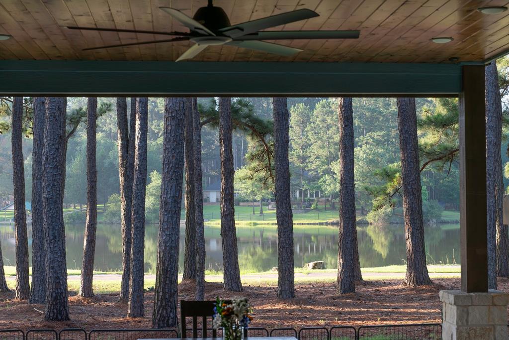 8595 Toler Pointe Larue, TX 75770 - Photo 11 of 40 Million dollar view from the dining area. So serene in the morning while you drink your coffee and hear the sounds of the birds and wildlife. Occasionally a free roaming herd of zebra or Pere David Exotic deer will pass by.