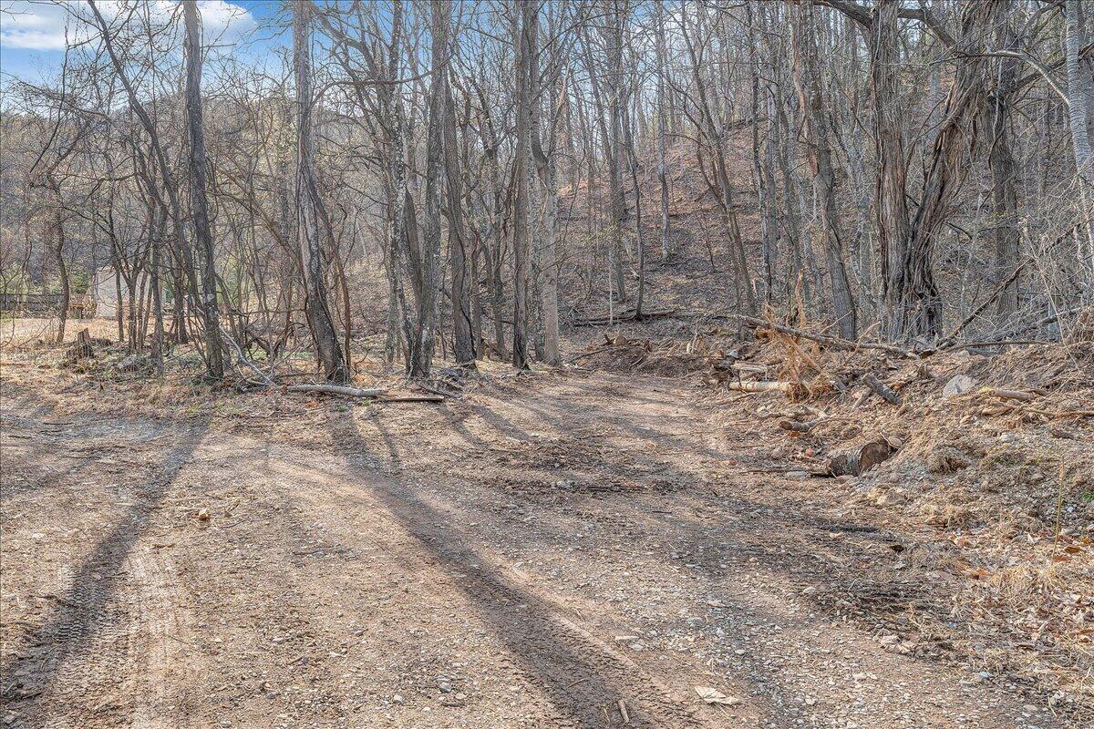 6023 Poor Mountain Road Salem, VA 24153 - Photo 19 of 22 Woods