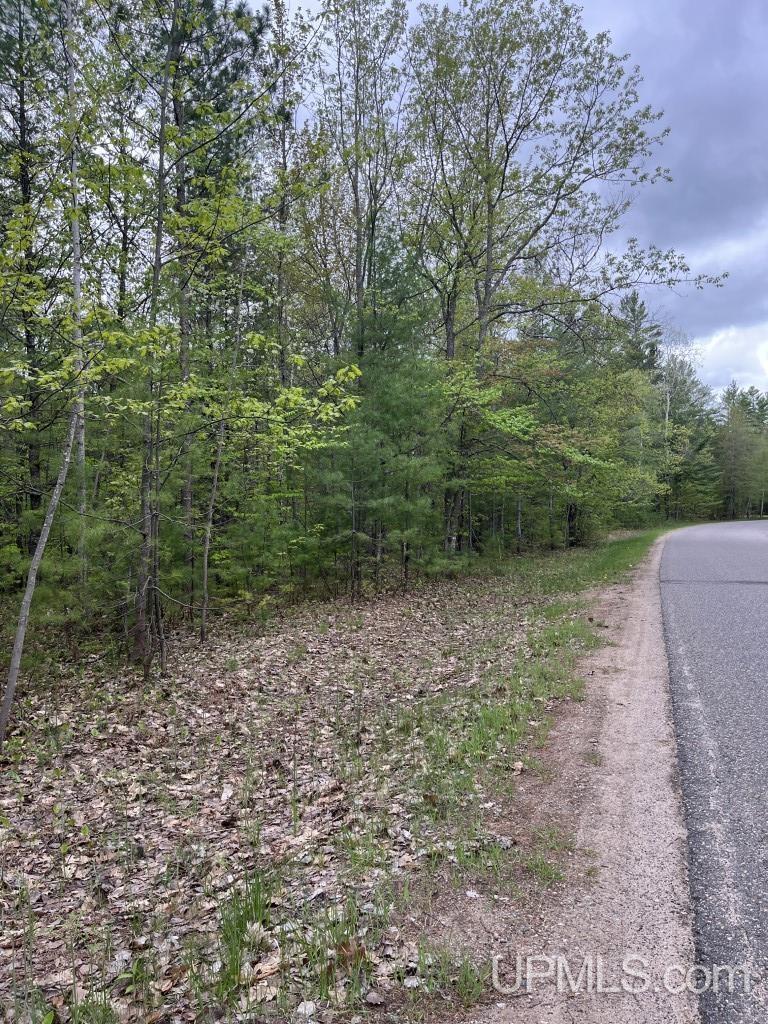 Lot 7 Powell Lake Road Wetmore, MI 49895 - Photo 5 of 16
