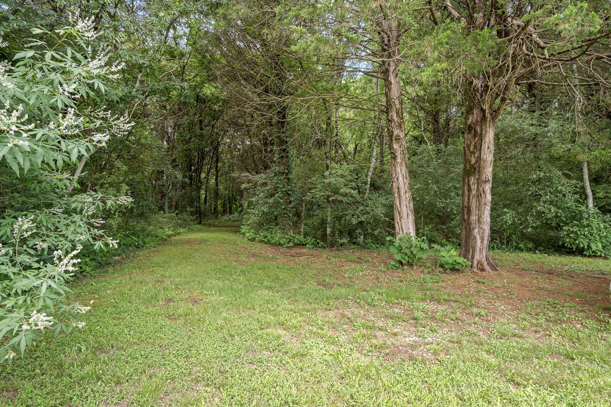 702 John Windrow Road Eagleville, TN 37060 - Photo 5 of 77 Gallery Image 5