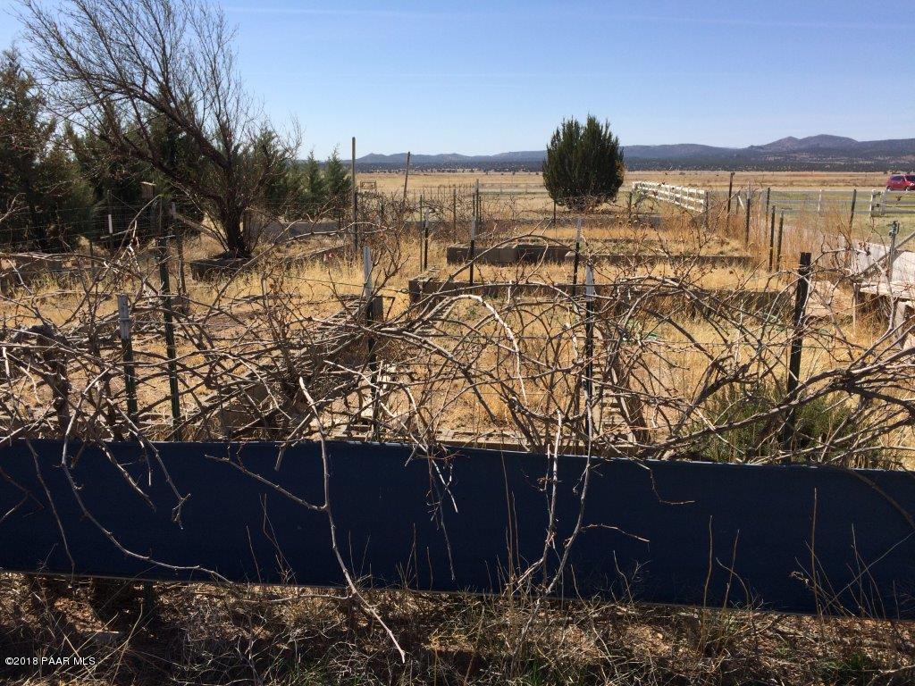 3400 West Runway Road Paulden, AZ 86334 - Photo 44 of 51 Grape Vines