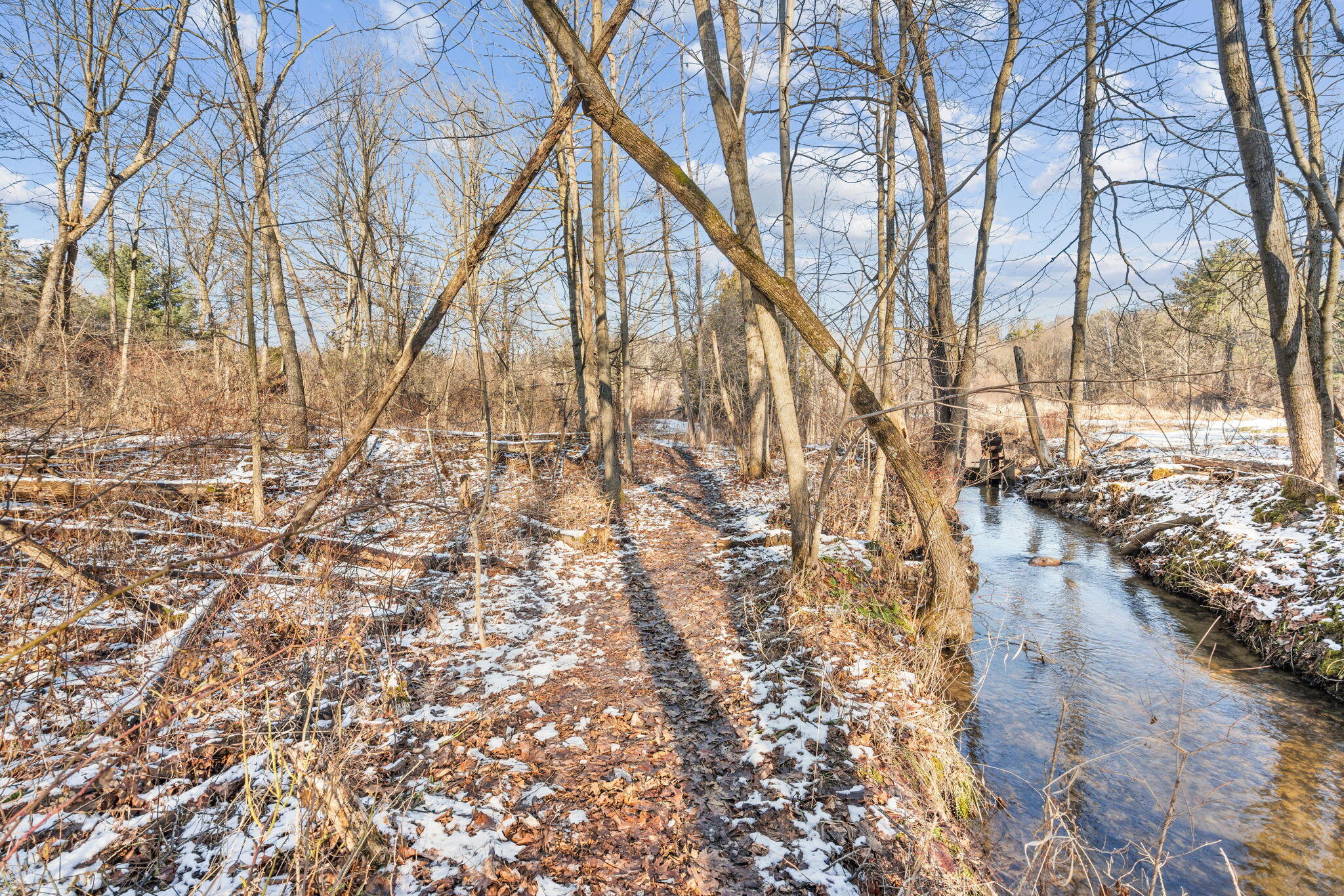 13855 Belding Road Northeast Belding, MI 48809 - Photo 85 of 117 82-web-or-mls-079