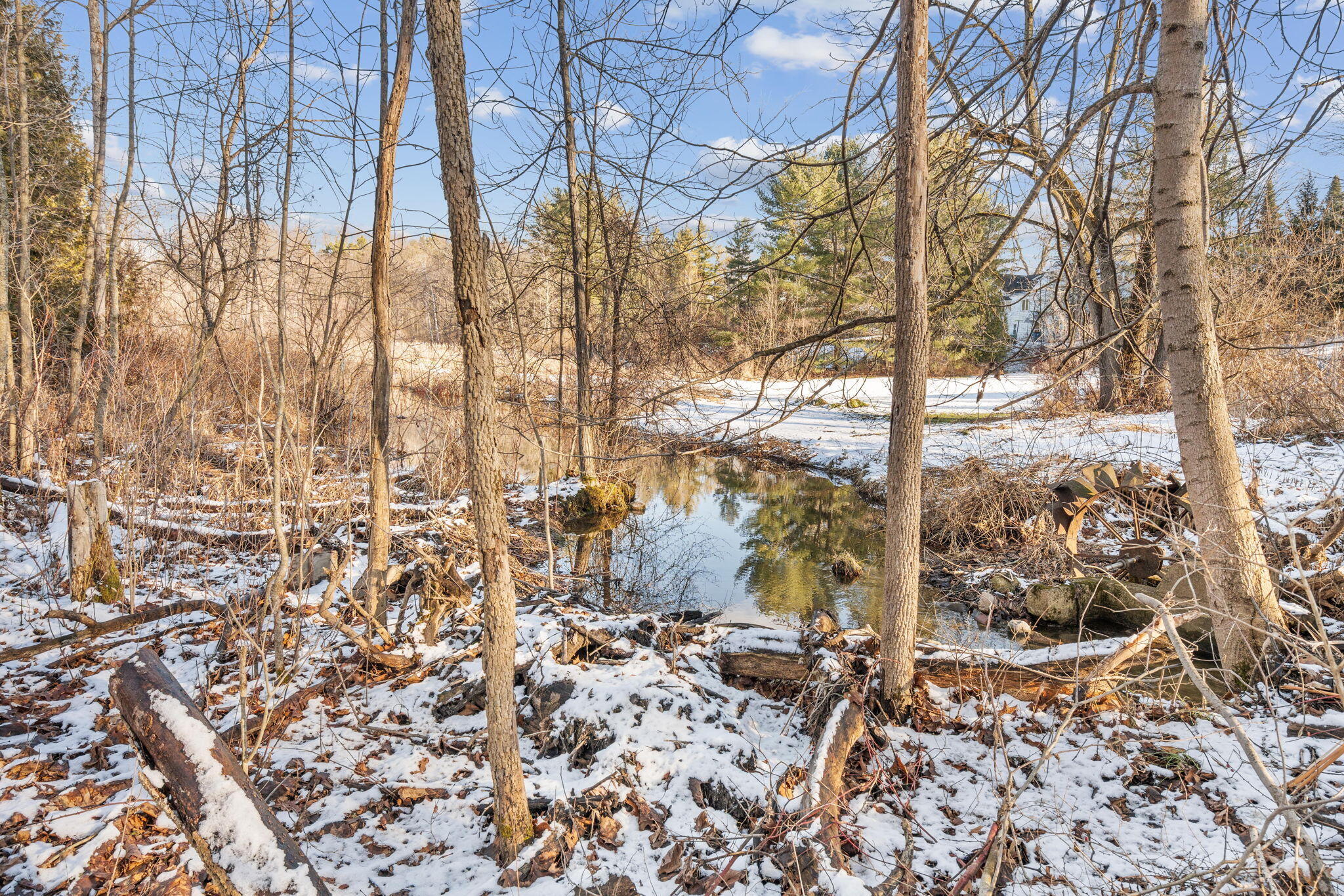 13855 Belding Road Northeast Belding, MI 48809 - Photo 86 of 117 81-web-or-mls-078