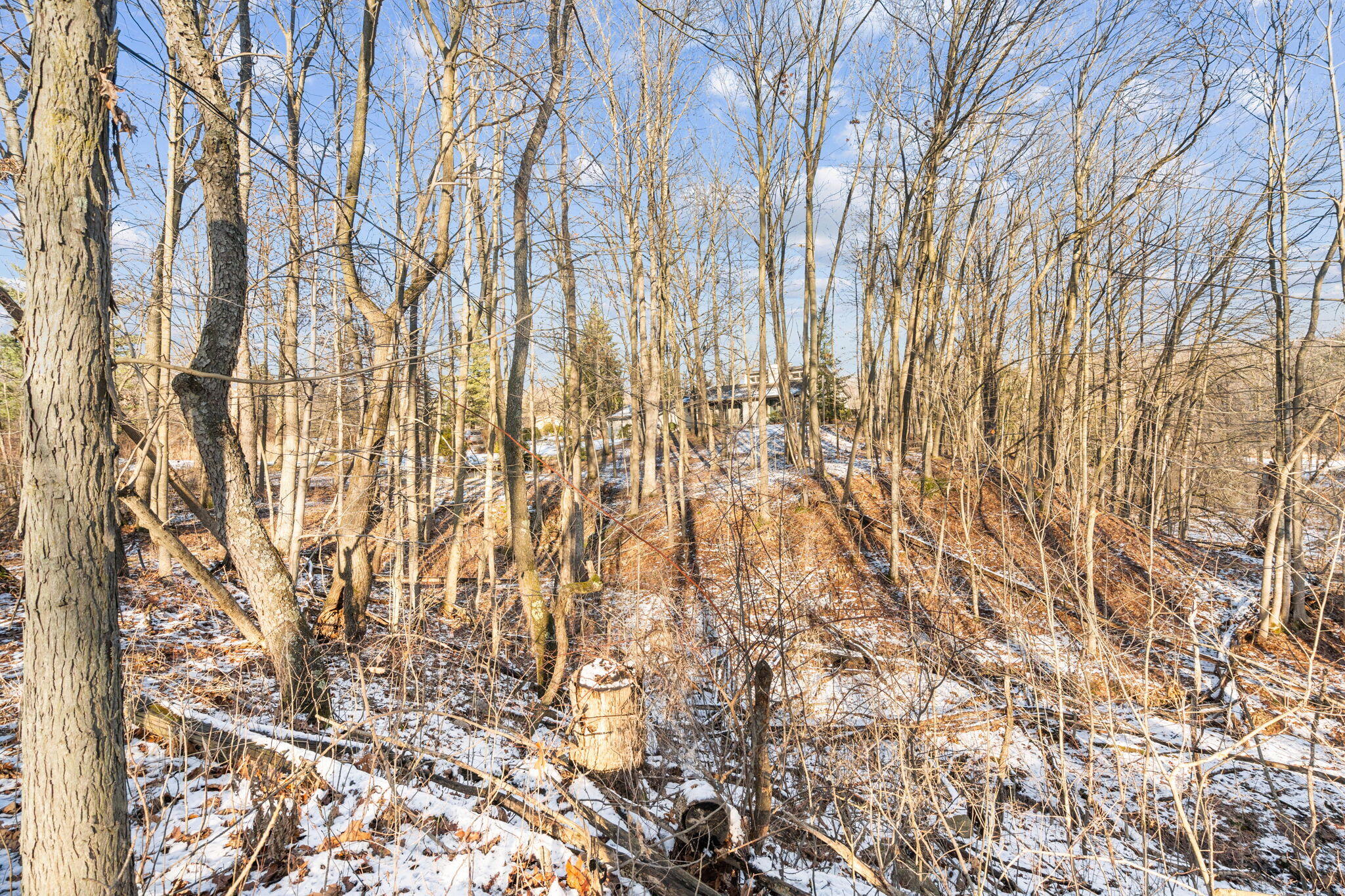 13855 Belding Road Northeast Belding, MI 48809 - Photo 92 of 117 88-web-or-mls-086